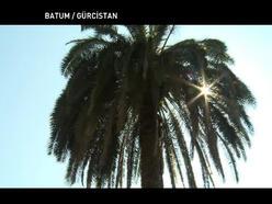 Batum’daki botanik bahçesinin özellikleri nelerdir?