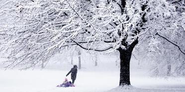 Washington DC’ye yılın ilk karı düştü
