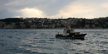 Marmara Denizi için tehlike çanları! İstilacı türler kapıda