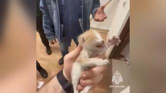 Rusya’da havalandırma boşluğuna düşen yavru kedileri kurtarma operasyonu