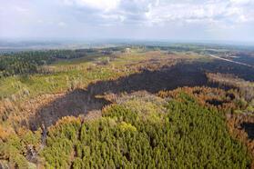 Kanada'da orman yangını nedeniyle acil durum ilan edildi