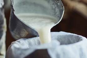 Evde süt kaynatmak sağlık risklerini yok etmeyebilir