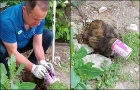 Kayseri'de itfaiye ekipleri, başı konserve kutusuna sıkışan kediyi kurtardı