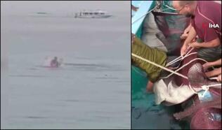 Mısır'da dehşet anları! Köpek balığı saldırısına uğrayan Rus turist hayatını kaybetti