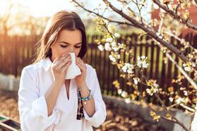 Küresel ısınma alerjik hastalıkları tetikledi