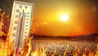 Aşırı sıcaklar ‘yeni (a)normal’ mi? Bilim insanlarını ikiye bölen vurgu