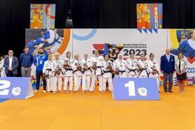 Türkiye'den Avrupa Paralimpik Şampiyonası'nda 52 madalya