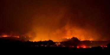 Komşu'dan kötü haber: Parnitha Dağı'ndaki yangın ulusal orman alanına sıçradı