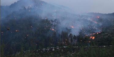 Tarım ve Orman Bakanlığı'ndan devam eden orman yangınlarına ilişkin açıklama