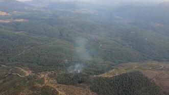Manisa'da çıkan orman yangını kontrol altına alındı