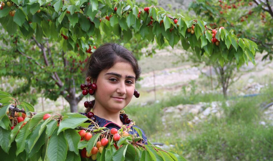 Erzurum'da yetişiyor kilosu: 7.5 lira 