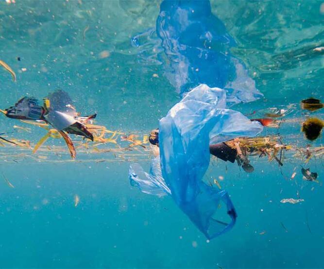 Denizlerdeki plastik atıklar doğayı ve insan sağlığını tehdit ediyor