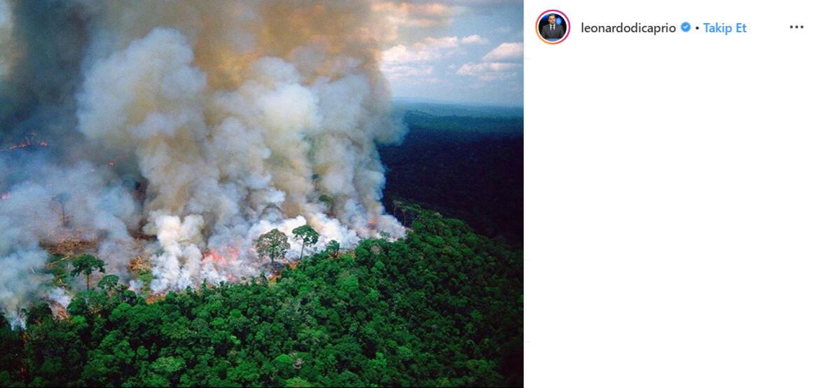 Leonardo DiCaprio’dan Amazonlar’a 5 milyon dolar bağış
