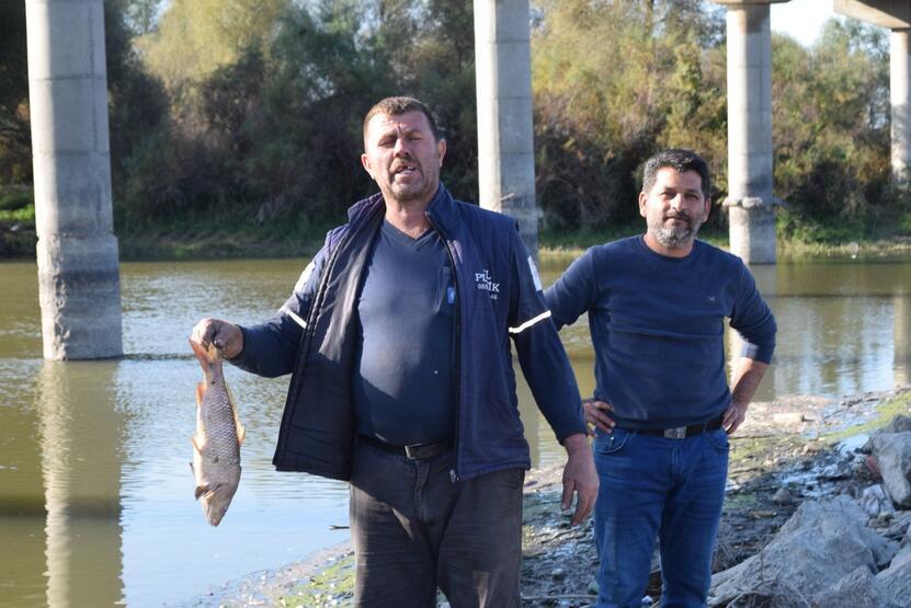Bursa'da balık ölümleri devam ediyor! 'Buna dur denmesi lazım...'