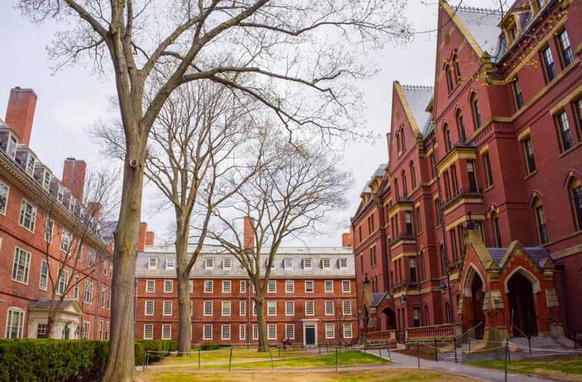 Harvard ile Yale'e 'gizli fon' soruşturması: 6.6 milyar dolar rapor edilmemiş