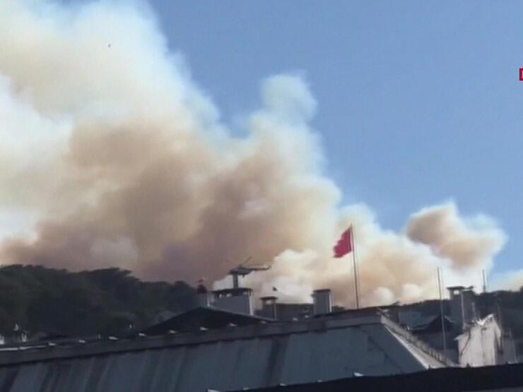 Son dakika haberi: Heybeliada'da orman yangını! 3 kişi gözaltına alındı