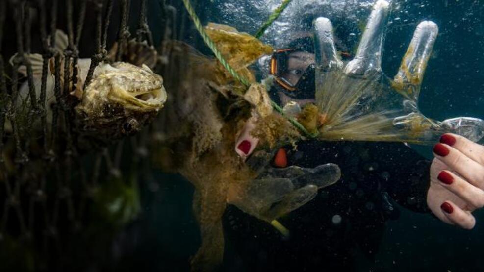 "2050 yılında denizlerde balıktan çok plastiğe rastlanabilir"
