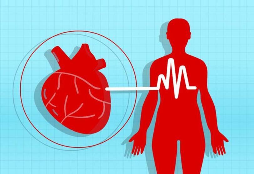 kalp sağlığı için en iyi testler yüksek tansiyon tedavisi bilgileri