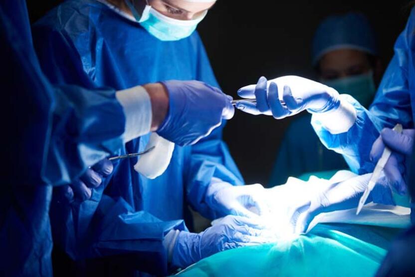 Dünyada ilk! Hayvandan alınan organ bir insana başarıyla nakledildi: Yüz binlerce hayatı kurtarabilir