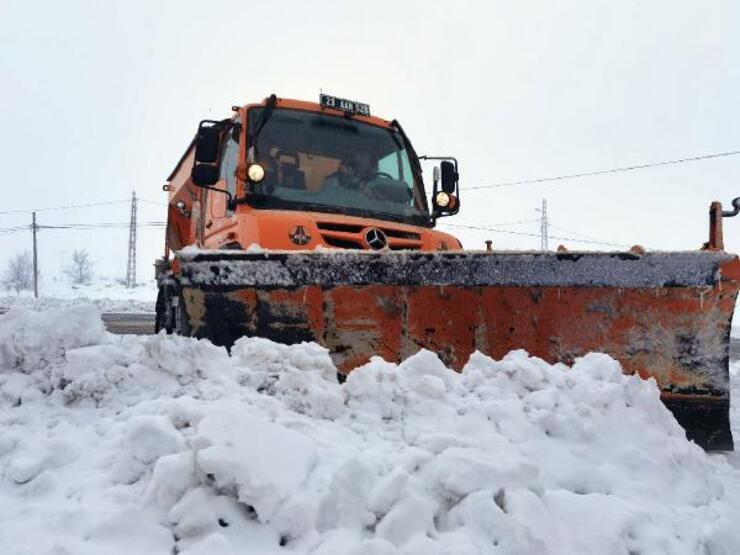 'Turuncu kar kaplanları'nın 2 bin rakımda zorlu mücadelesi