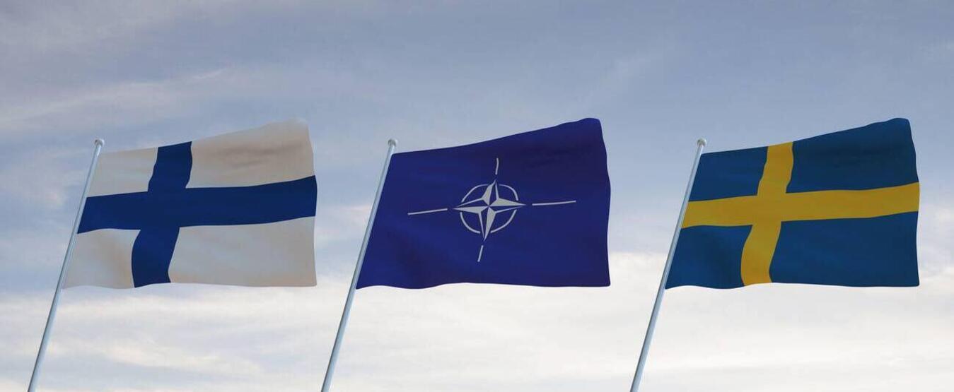 5 Soruda İsveç ve Finlandiya'nın NATO Üyeliği