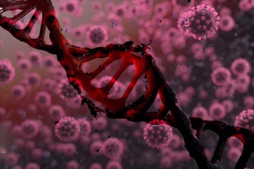 Koronavirüsün yerini mi alacak? DSÖ'den dikkat çeken Maymun Çiçeği açıklaması