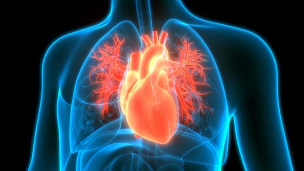 Medicana'dan romatizmal kalp hastalığı değerlendirmesi
