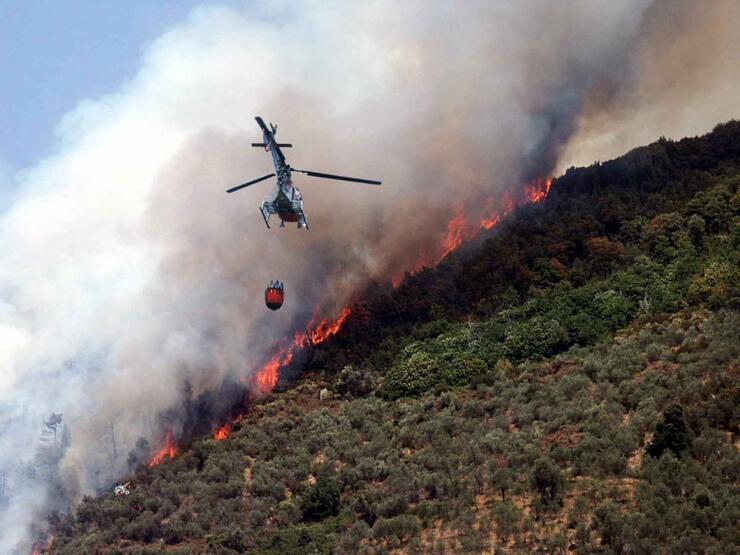 İtalya'da orman yangınları: 400 hektar alan kül oldu