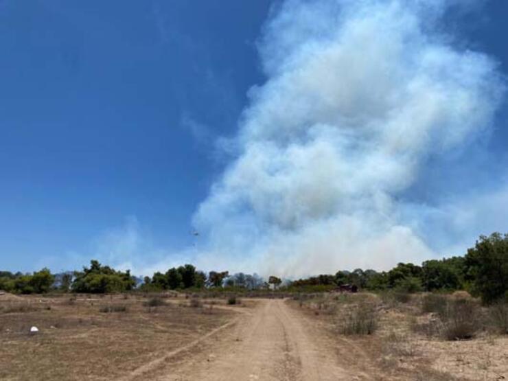 Antalya'da orman yangını! Ekipler müdahale ediyor...