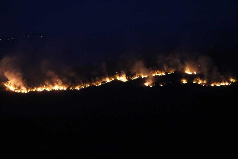 Bulgaristan'da orman yangını Türkiye sınırına dayandı!