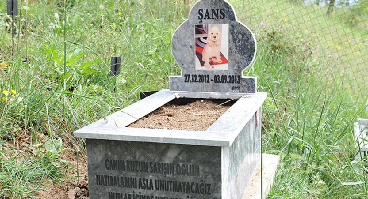 turkiye nin ilk evcil hayvan mezarligi son dakika flas haberler