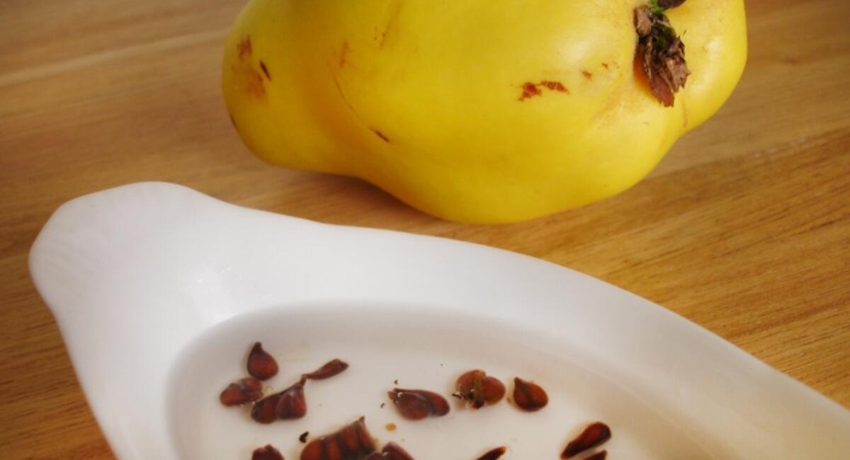 Making a rejuvenating quince seed skin tonic