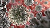 Bilim Kurulu Üyesi Özlü: Virüs, döngüsel hastalık halini alacak gibi duruyor