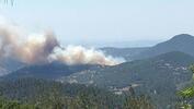 SON DAKİKA: Balıkesir'de orman yangını! Müdahale ediliyor