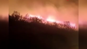 Azerbaycan’da orman yangınları
