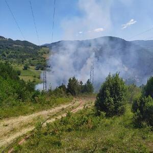 Ormanlık alanda yangın: 4 dönüm arazi etkilendi