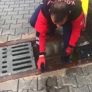 Kanala giren yavru kedileri itfaiye kurtardı