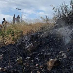Gaziantepte orman yangınında 4 hektar alan zarar gördü