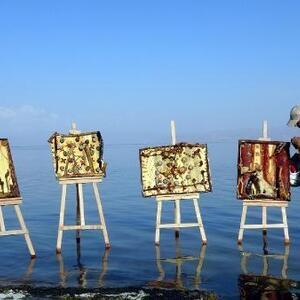 Kirliliğe ve Van Gölündeki çekilmeye dikkat çekmek için atıklardan tablo yapıp sergiledi