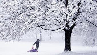 Washington DC’ye yılın ilk karı düştü