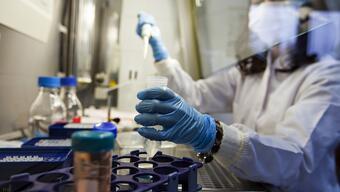 Bilimsel araştırma: HIV taşıyan farelerin yüzde 40'ı yeni tedavi ile iyileşti