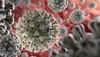 Bilim Kurulu Üyesi Özlü: Virüs, döngüsel hastalık halini alacak gibi duruyor