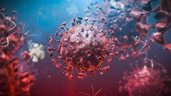 İngiltere'de koronavirüs araştırması: Yüzde 29'u tam olarak iyileşiyor