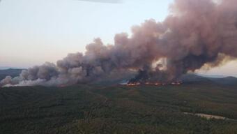 Marmaris'te orman yangını! Bakan Kirişci: Yangın büyük ölçüde kontrol altında