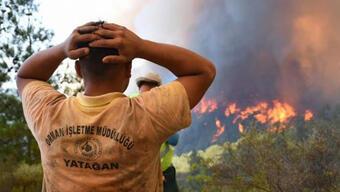 Marmaris'te orman yangını: Bölgede son durum!