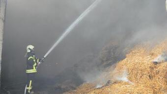 Manisa'da entegre tesiste çıkan yangında 350 ton saman küle döndü