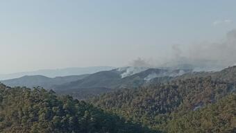 Marmaris'te korkutan orman yangını! İşte sahada son durum