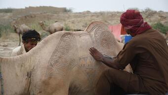 Pakistan'da Kurban Bayramı öncesi develer süslendi