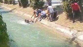 Sulama kanalına düşen çocuğu çevredeki gençler kurtardı