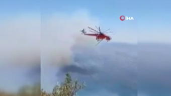 Yunanistan’da 53 noktada orman yangını